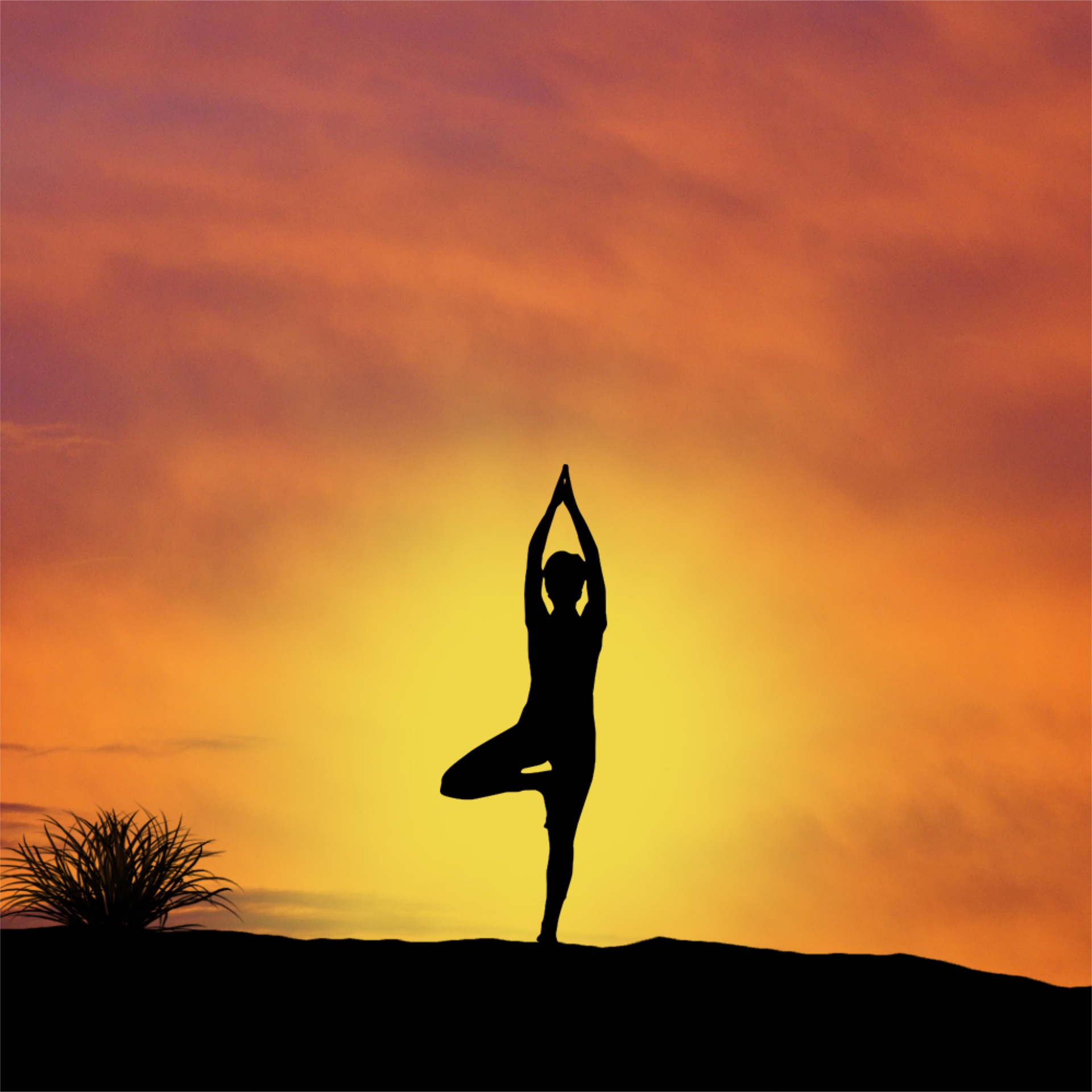 Vinyasa Yoga (0402-0422K)