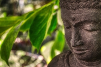 Qi Gong
